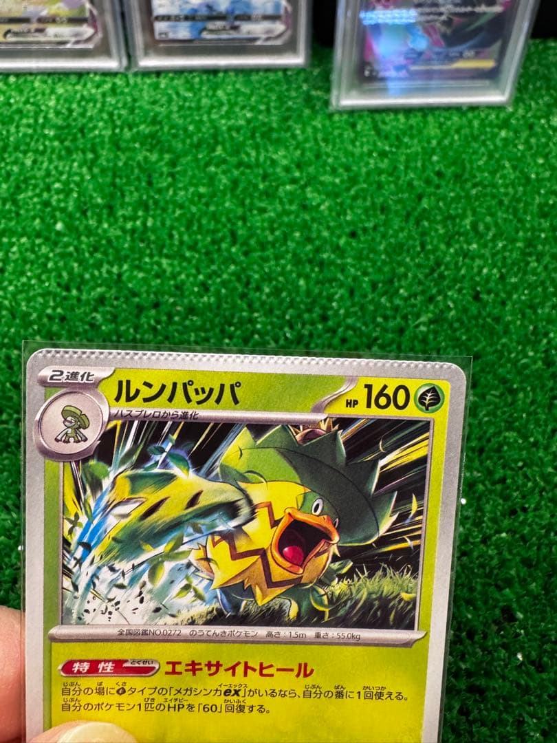 ポケモンカード　エラカード　インフェルノX ルンパッパ