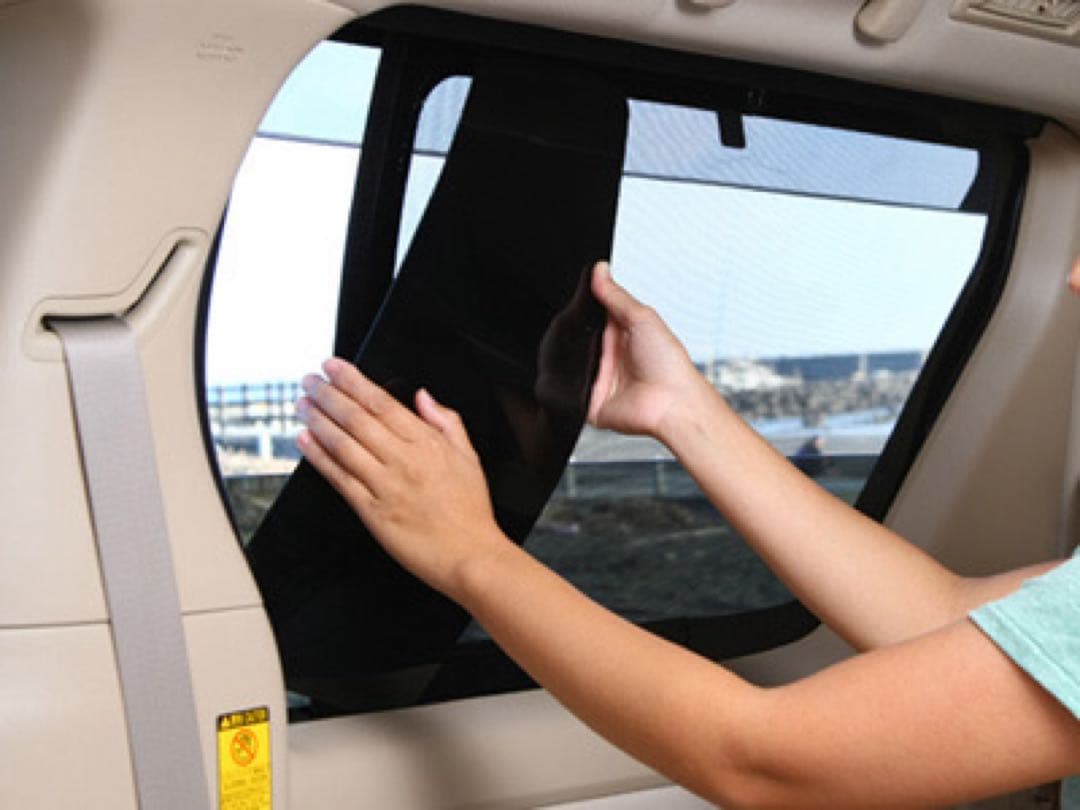 アイズ ステップワゴンRP3-5 ウィンドーバグネット 防虫網戸 リア2枚セット