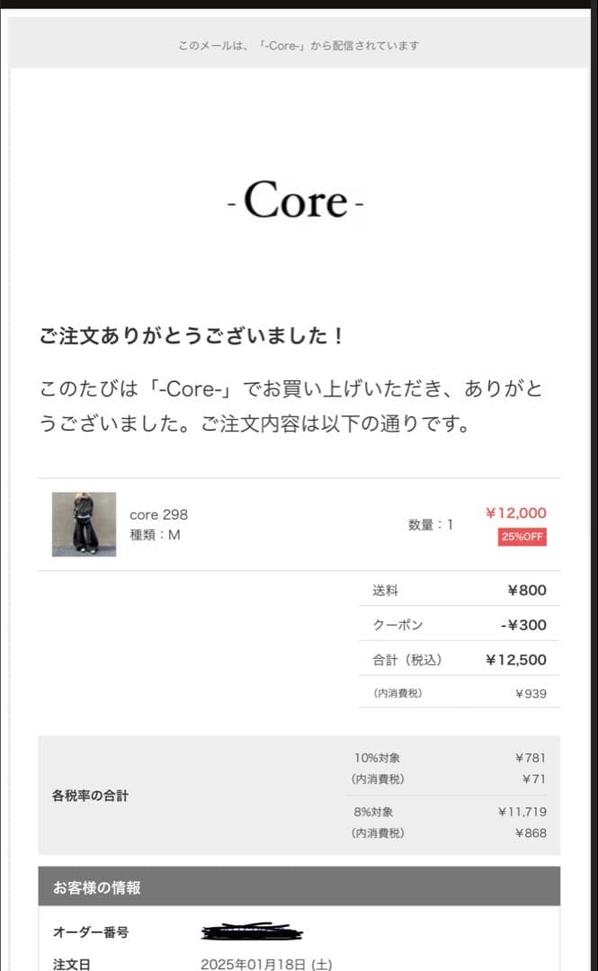 Core y2k 00s 平成ギャル フェアリーグランジ アウター ファー付き