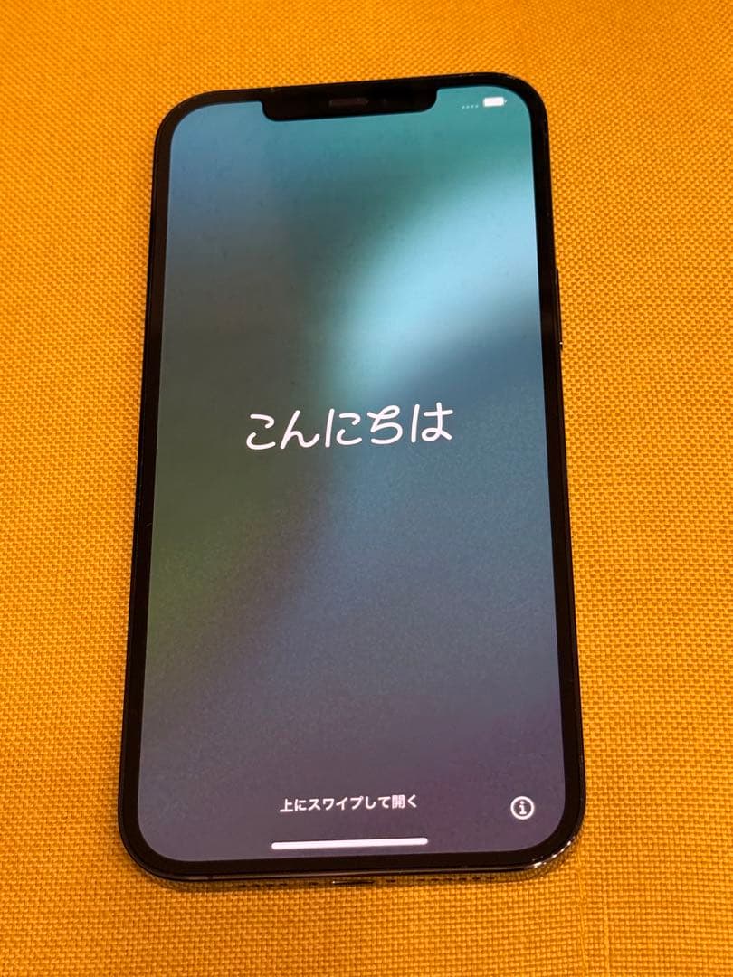 Apple iPhone 12 Pro Max本体