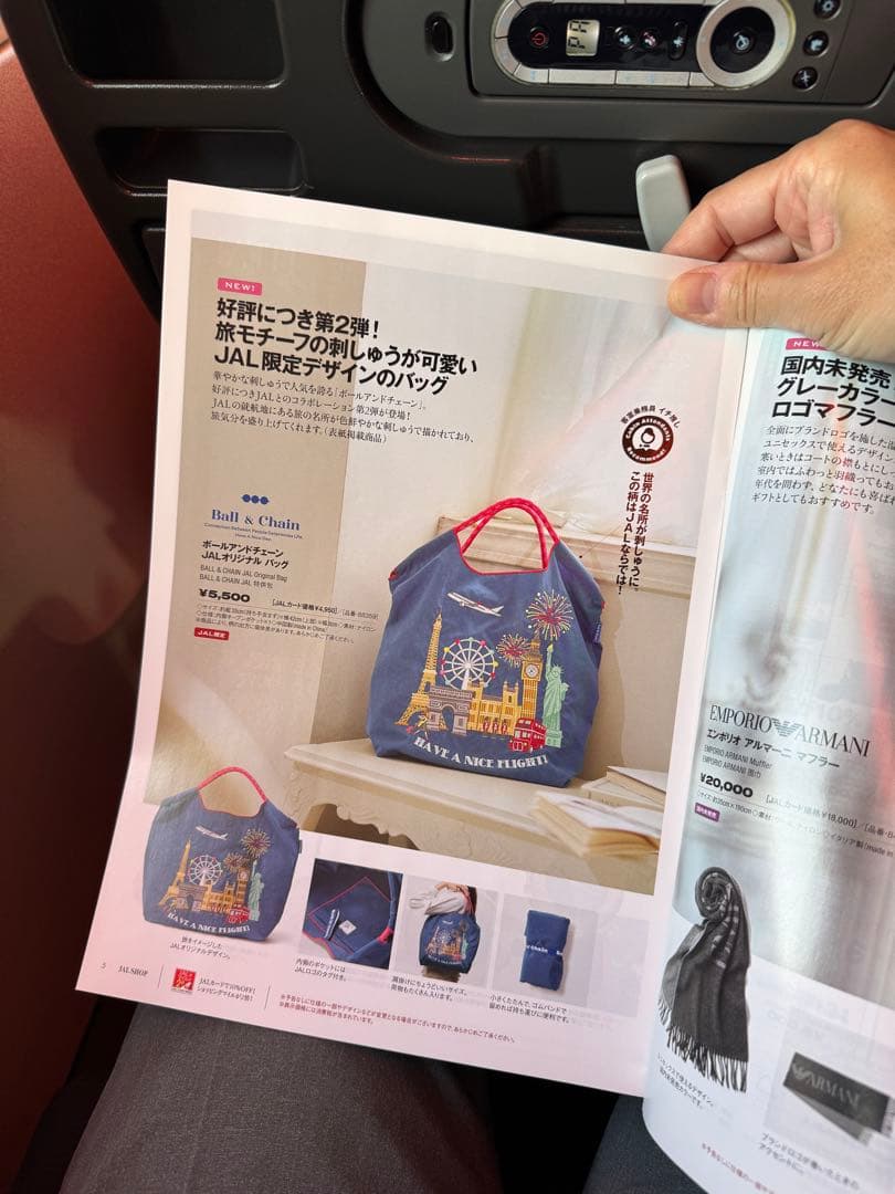 JAL搭乗者限定 ボールアンドチェーン