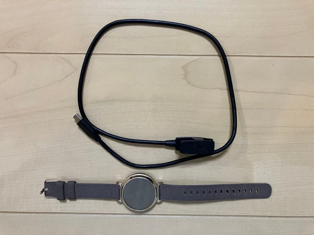 ガーミンLily 2 Classic リリー2 定価44,800円