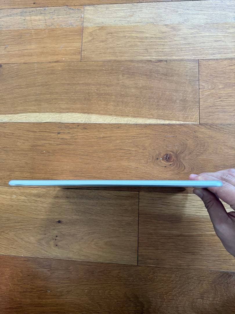 美品　iPad Air 2 WiFi + cellularモデル 16GB超