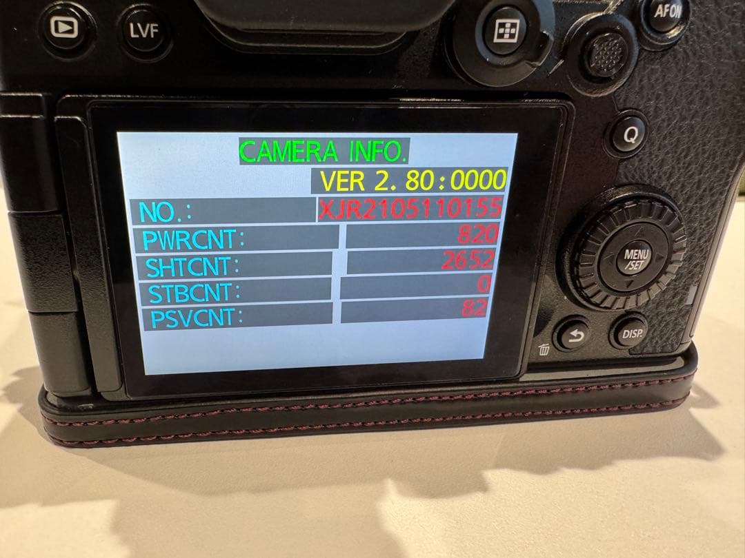 Lumix DC-S5 ミラーレスカメラ 本体 美品