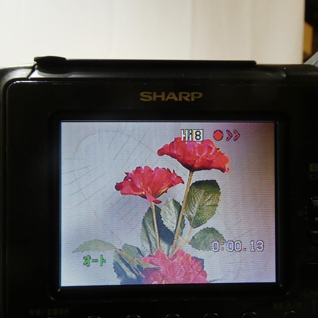 動作良好　Video.Hi8 シャープVL-HL3 8ミリビデオカメラDVD化に