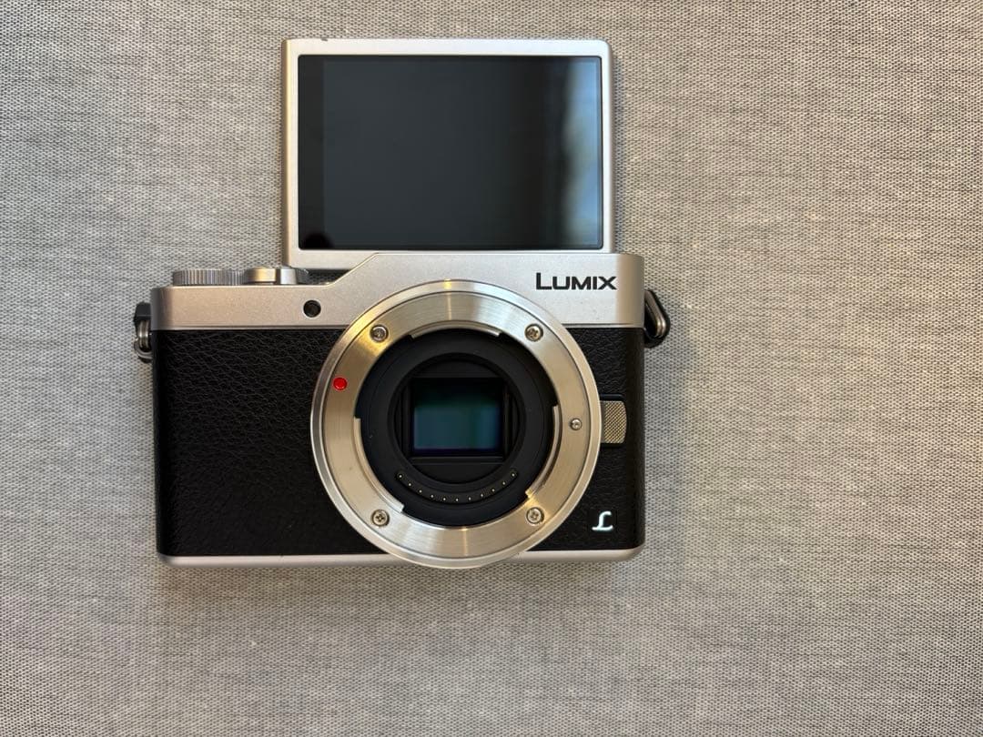 LUMIX DC-GF9 ミラーレス一眼カメラ 交換レンズ　H-H025 付き