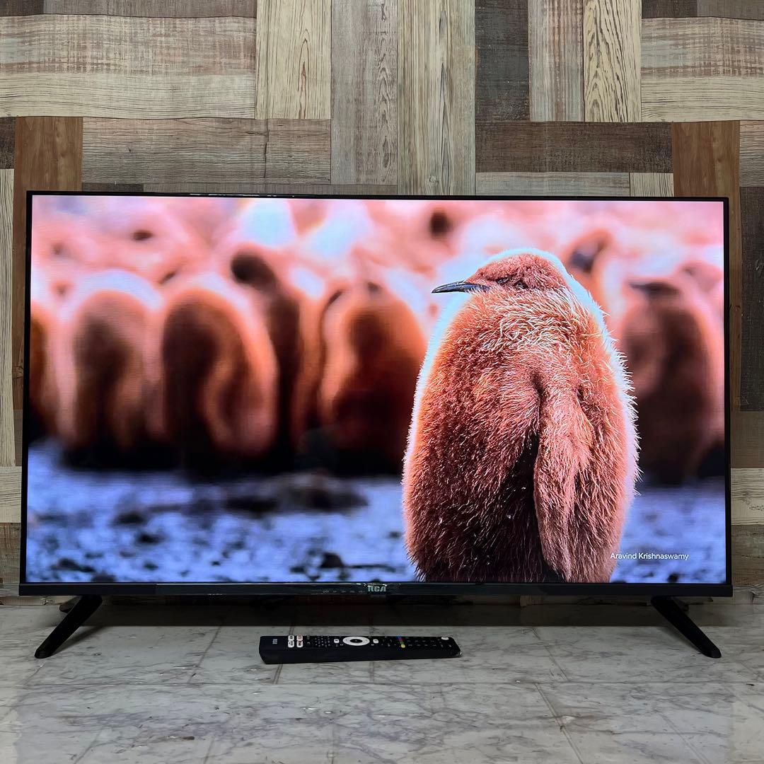 即日受渡❣️全国送料込今年購入RCA 40型Googleテレビ新品リモ付外付録画可