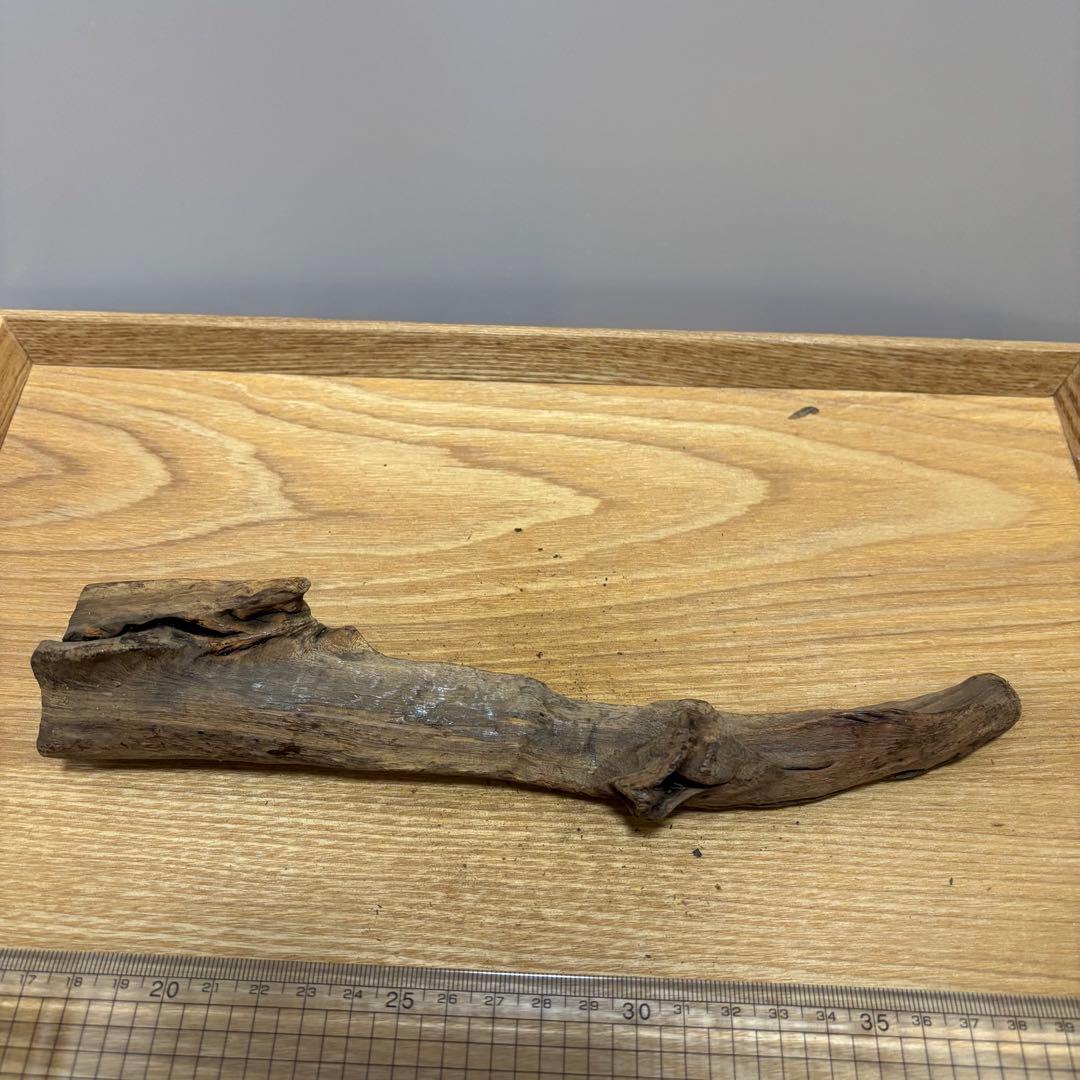 古代天然香木　沈香原木　97.9g 茶道具タニシャム沈香伽羅聞香 香道具ベトナム