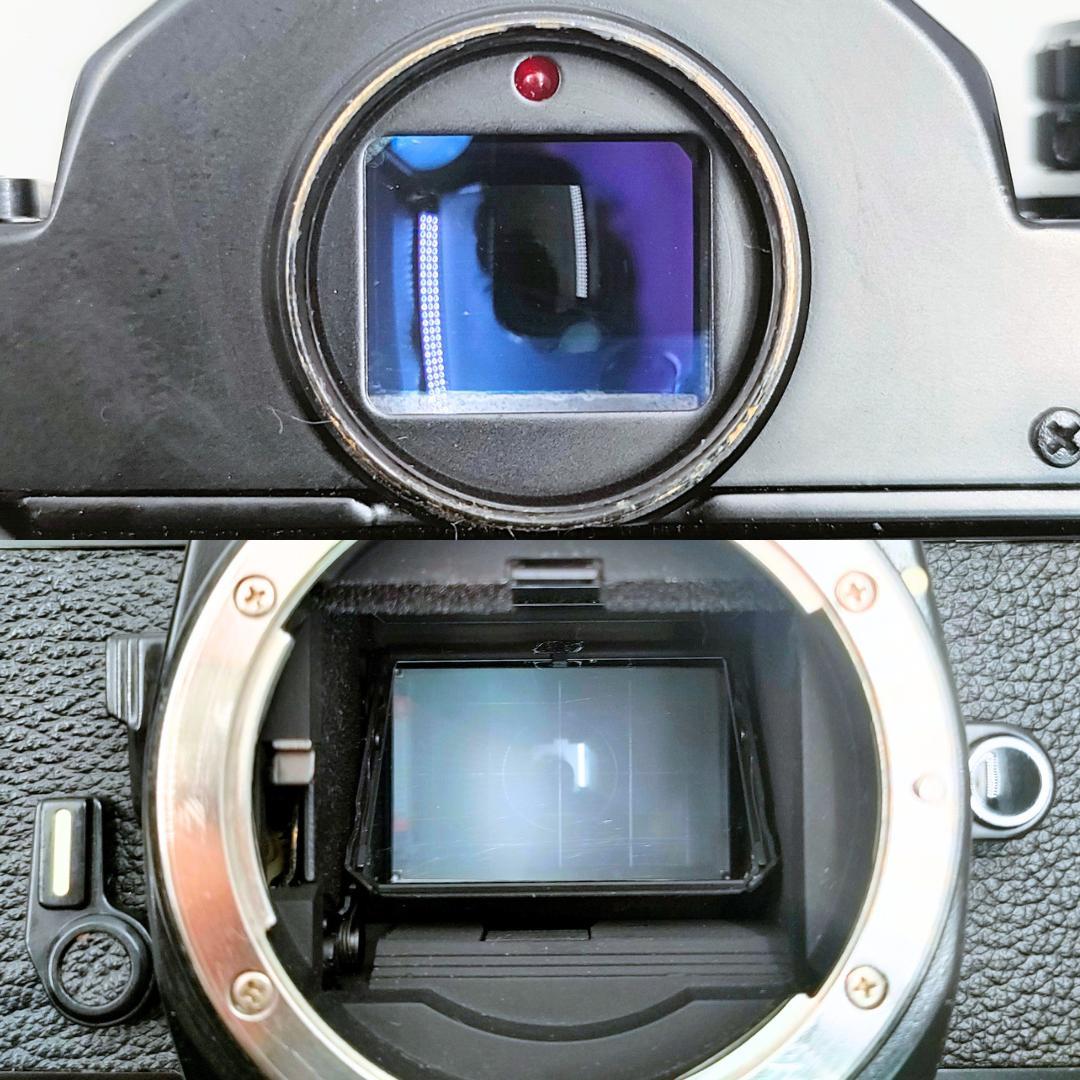 フィルムカメラ Nikon FE2 / Ai NIKKOR 50mm f1.4