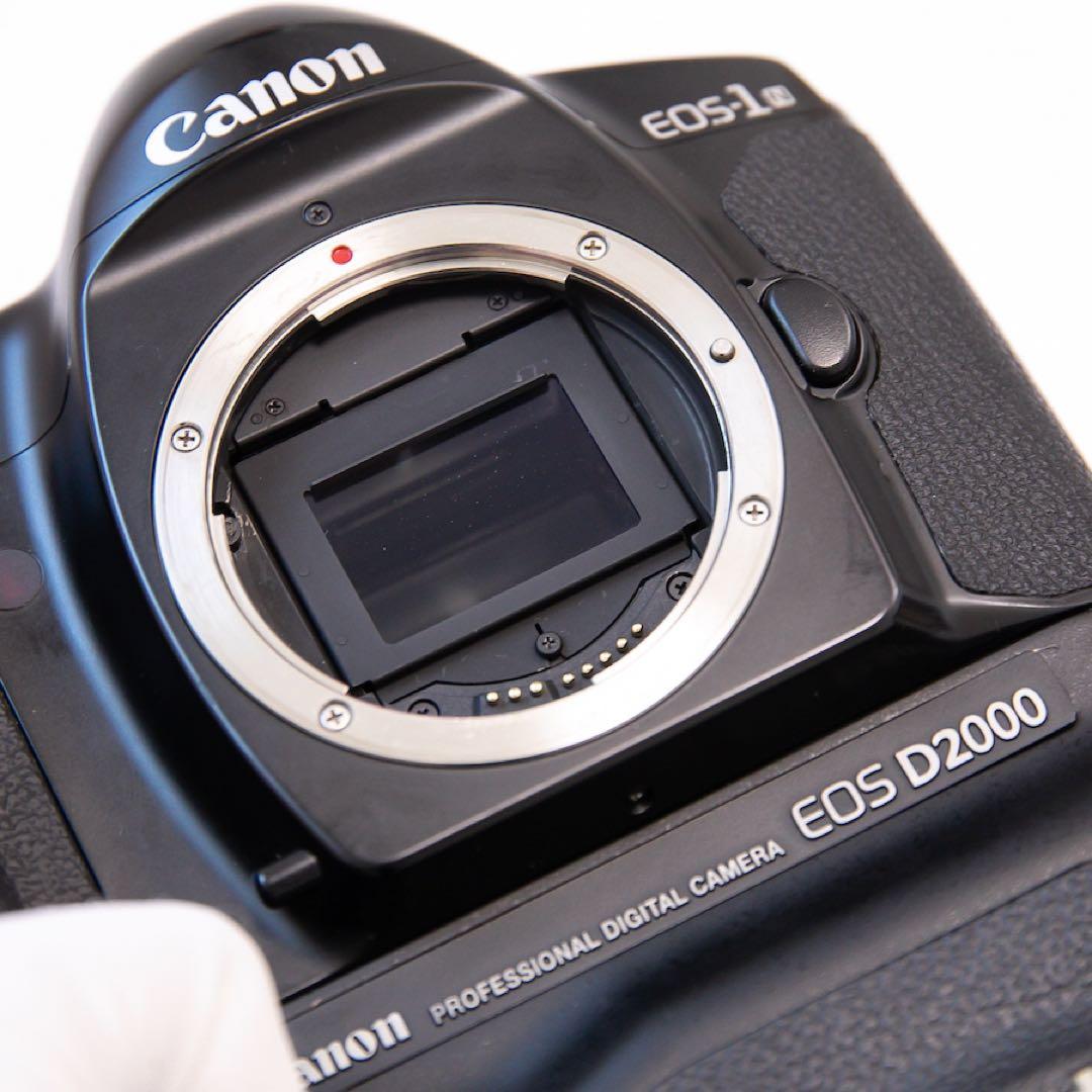 【超希少】Canon EOS-1n D2000 コレクターズアイテム