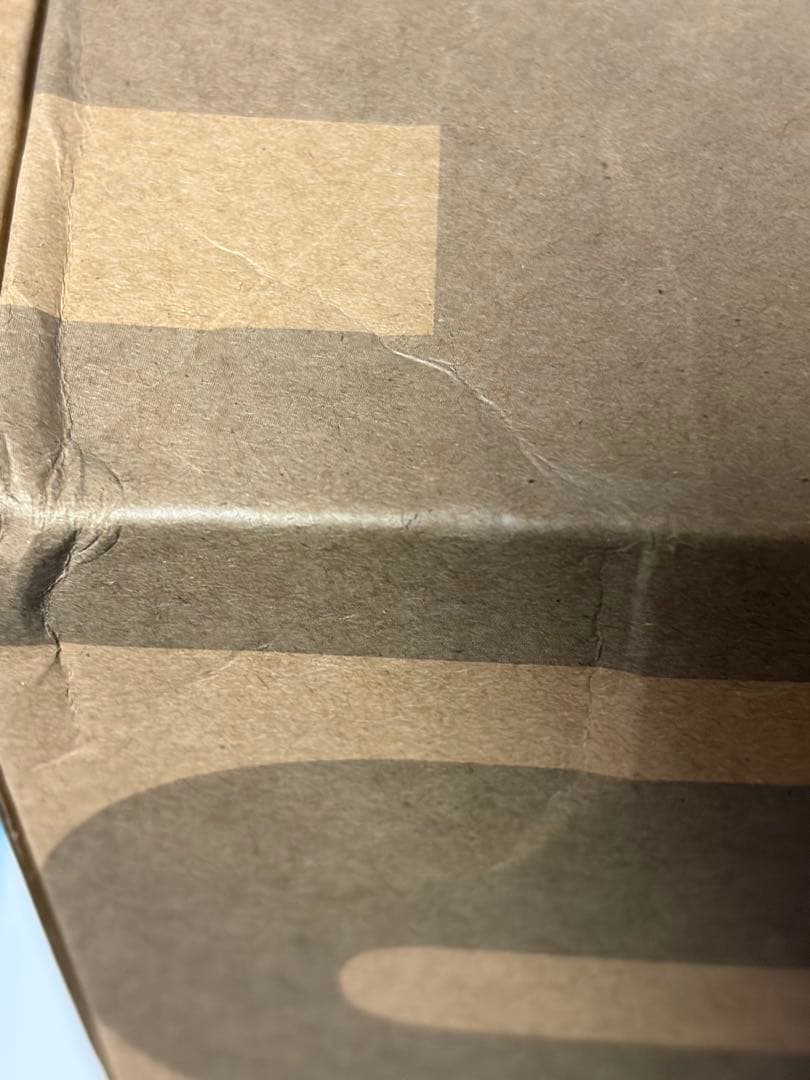 千辉模型 1/100 機甲 天魔DOM 組立モデル　海外プラモデル