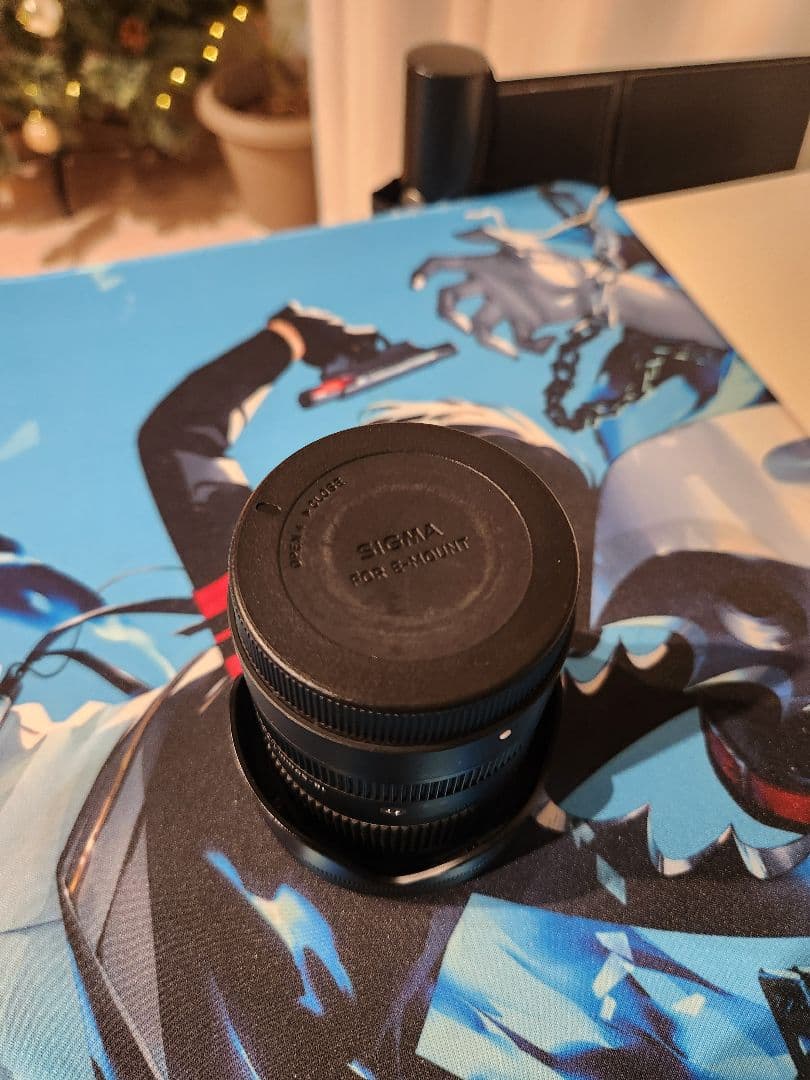 ソニー Eマウント Sigma 18-50mm F2.8 レンズ