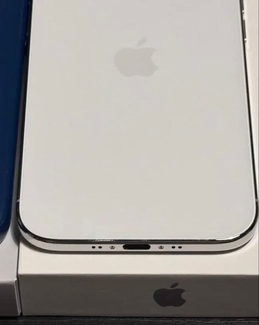 Apple iPhone シルバー 本体 Beatsケース付き