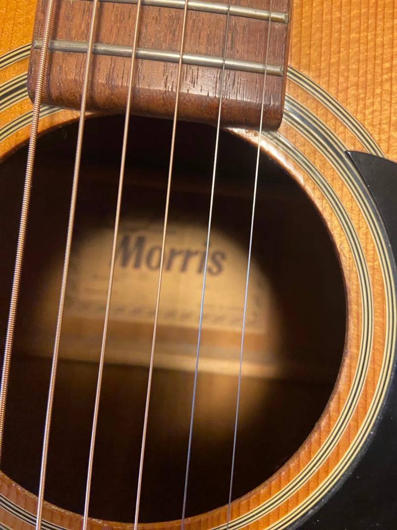 Morris アコースティックギター 6弦