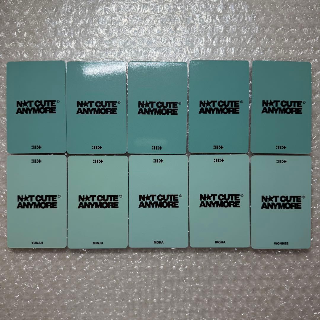 NOT CUTE ANYMORE 来日記念ラキドロ weverse 10枚セット