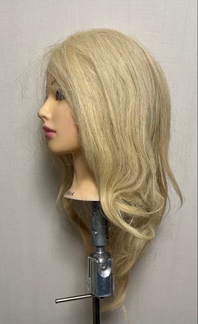 D*o様 特別価格【商品説明】N.B.A.Aウィッグ（中古購入・未使用）