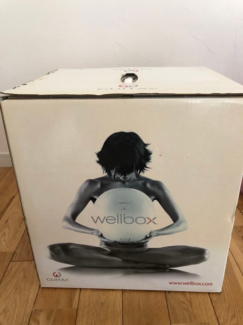 希少新品‼️ GUITAY「Wellbox」家庭用エンダモロジー
