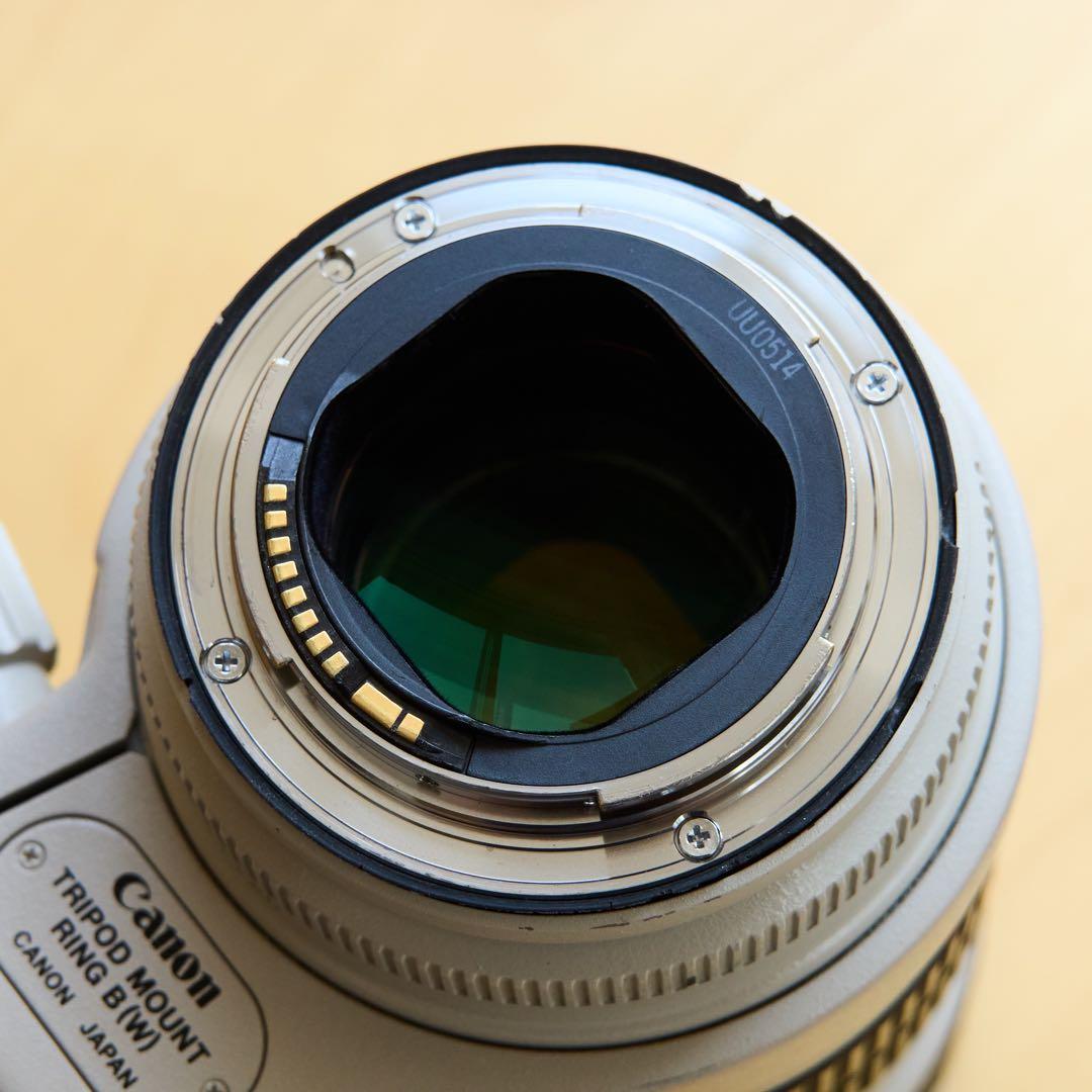 EF70-200mm F2.8L IS USM レンズ ＊フード/ケース付