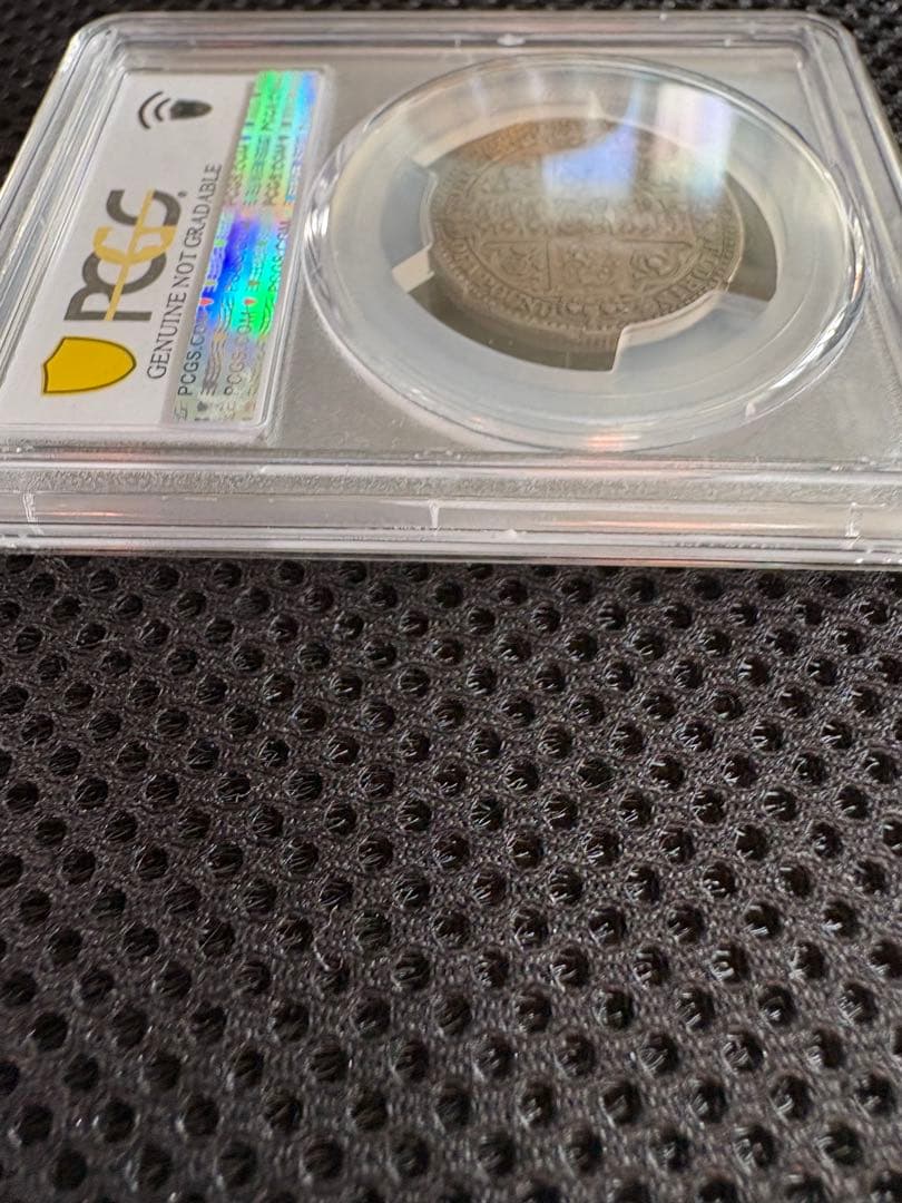 ⭐︎れい⭐︎1849年「ゴッドレス・フローリン（Godless Florin）