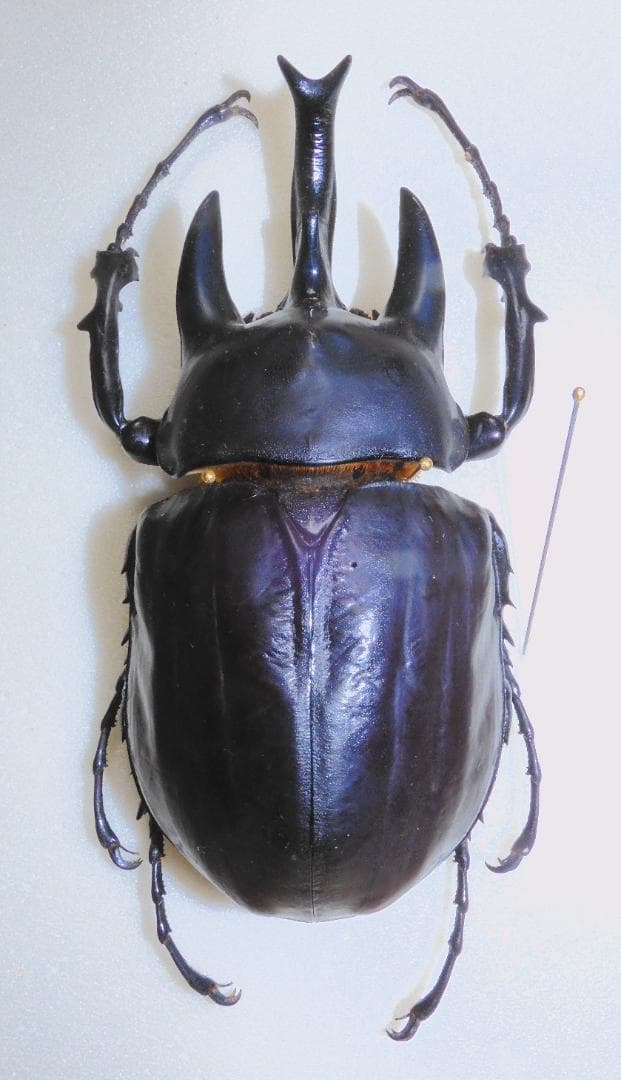 aiueo39様 リクエスト 2点 まとめ商品