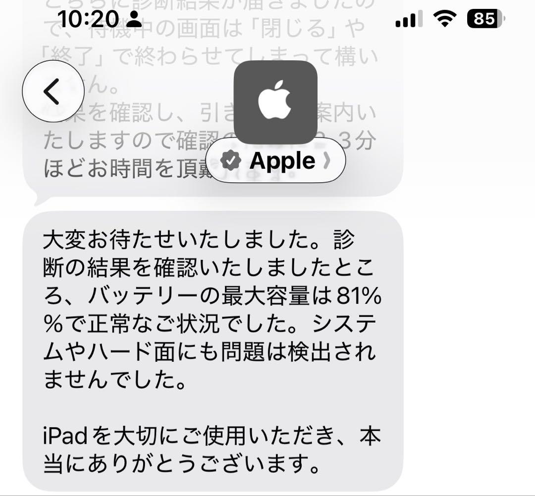 iPad本体 iPad Pro 256GB MPHJ2J/A Wi-Fi+Cellular