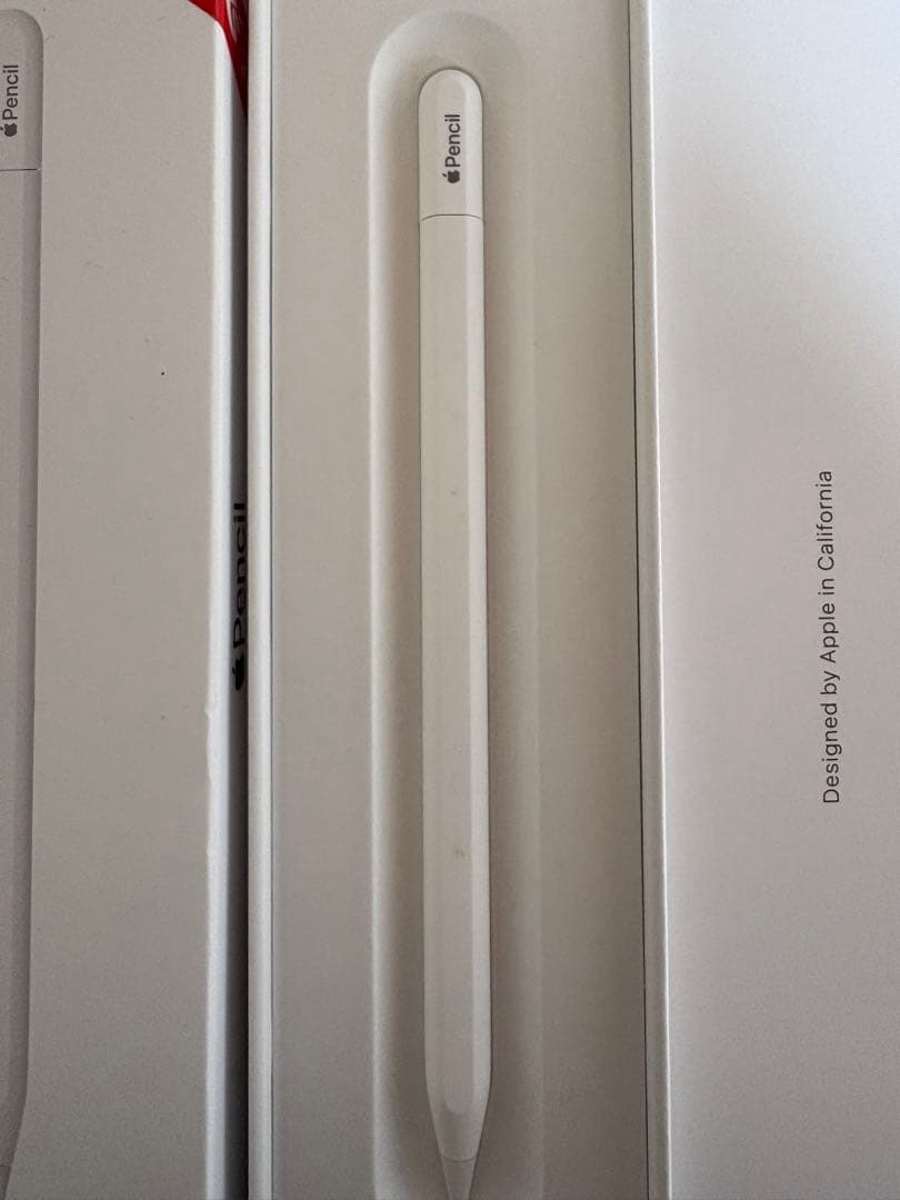 Apple Pencil usb-c 2025購入