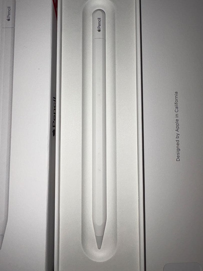 Apple Pencil usb-c 2025購入