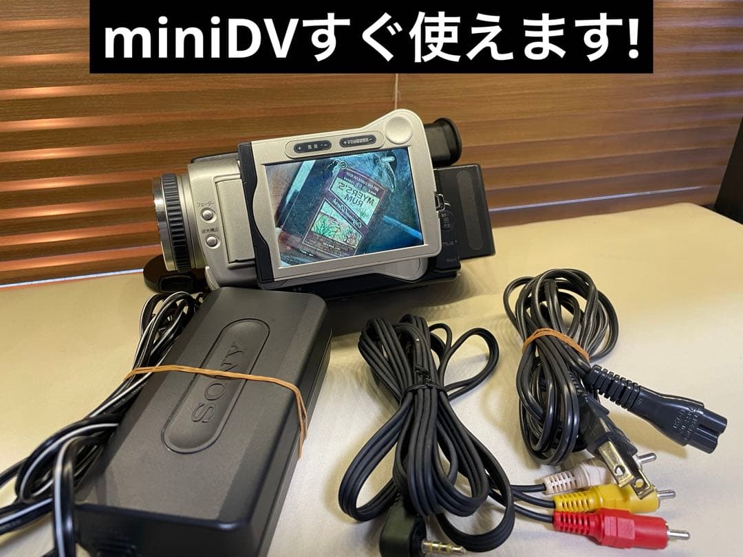 SONY DCR-TRV30 ハンディカム　ビデオカメラ　動作品