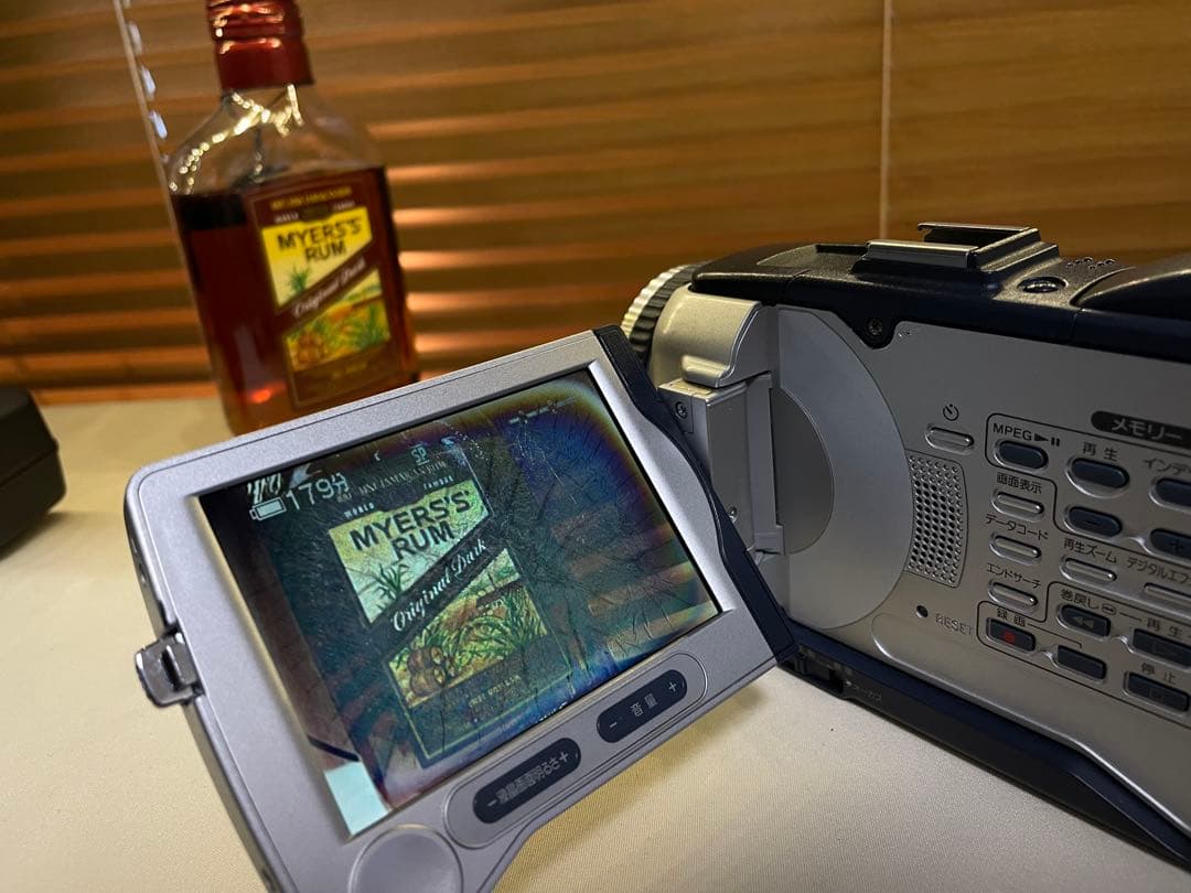 SONY DCR-TRV30 ハンディカム　ビデオカメラ　動作品