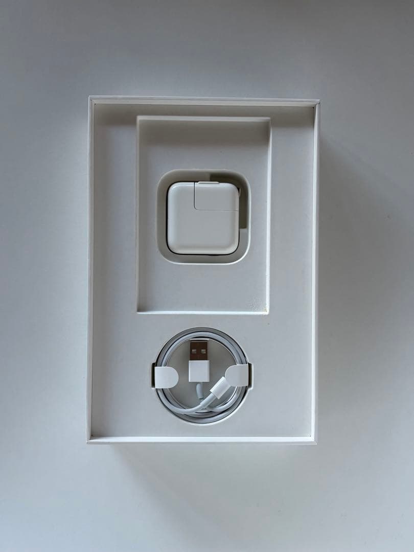 美品 iPad mini 第5世代 256GB 付属品と元箱付 ゴールド おまけ