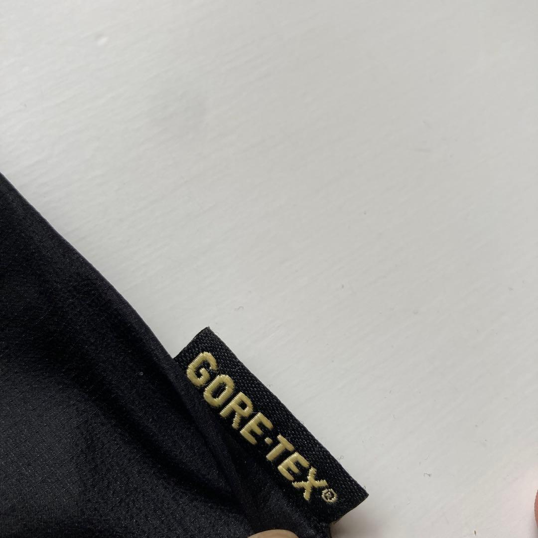 ジャケット・アウター MILLET GORE-TEX mountain parka ew2