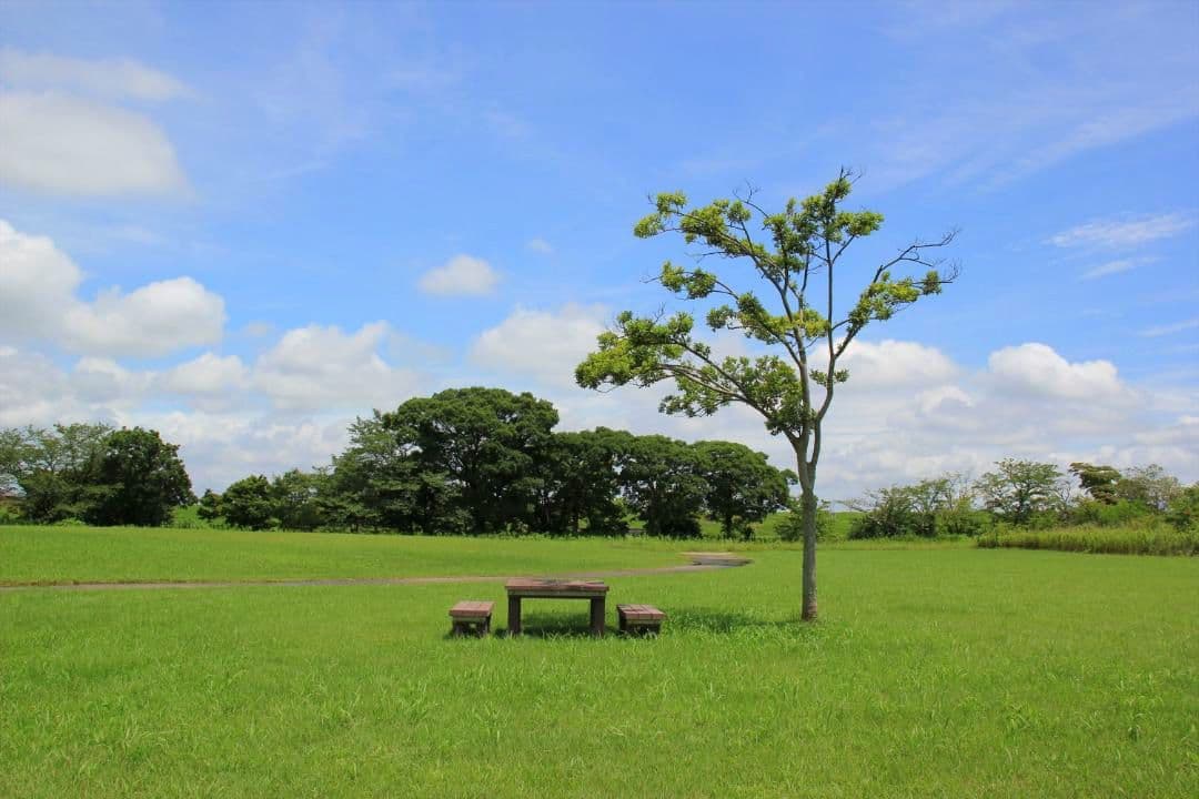 Canon 　EOS Kiss X4　　標準ズームレンズ付き