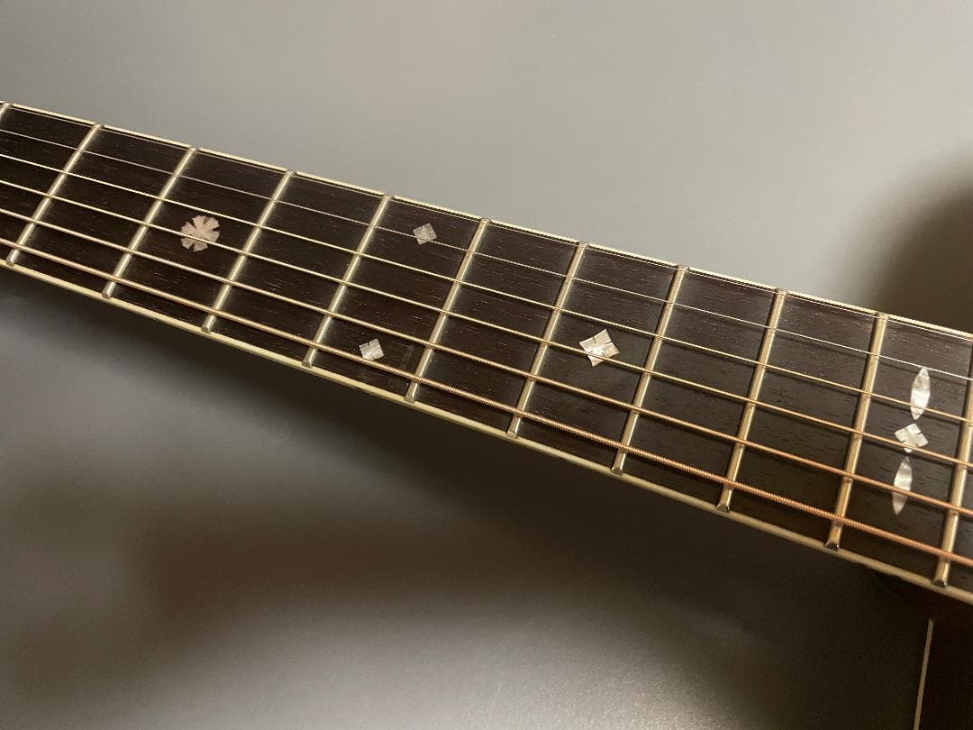 ギター Aria Dreadnoght AF-60