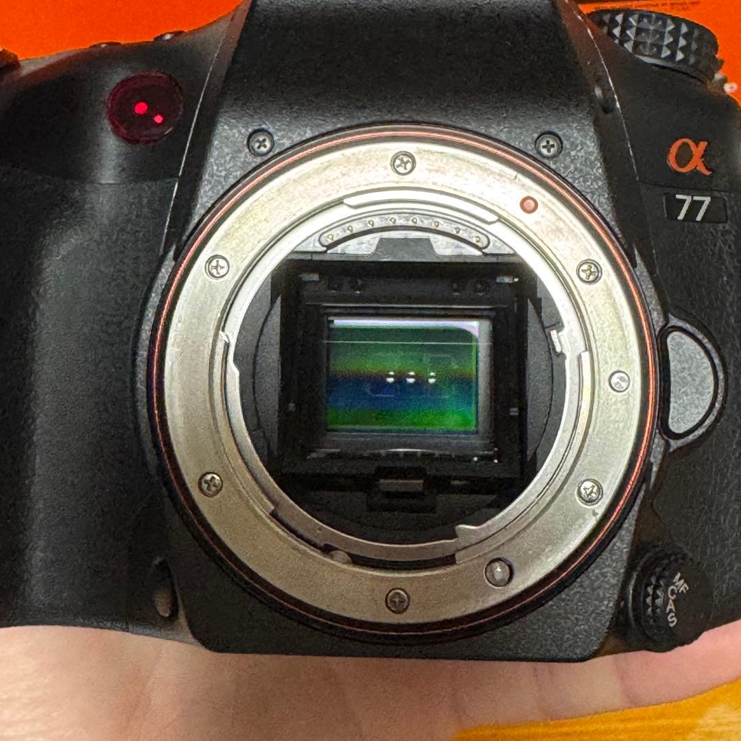 SONY α77 SLT-A77VQ ズームレンズキット & SAL85F28