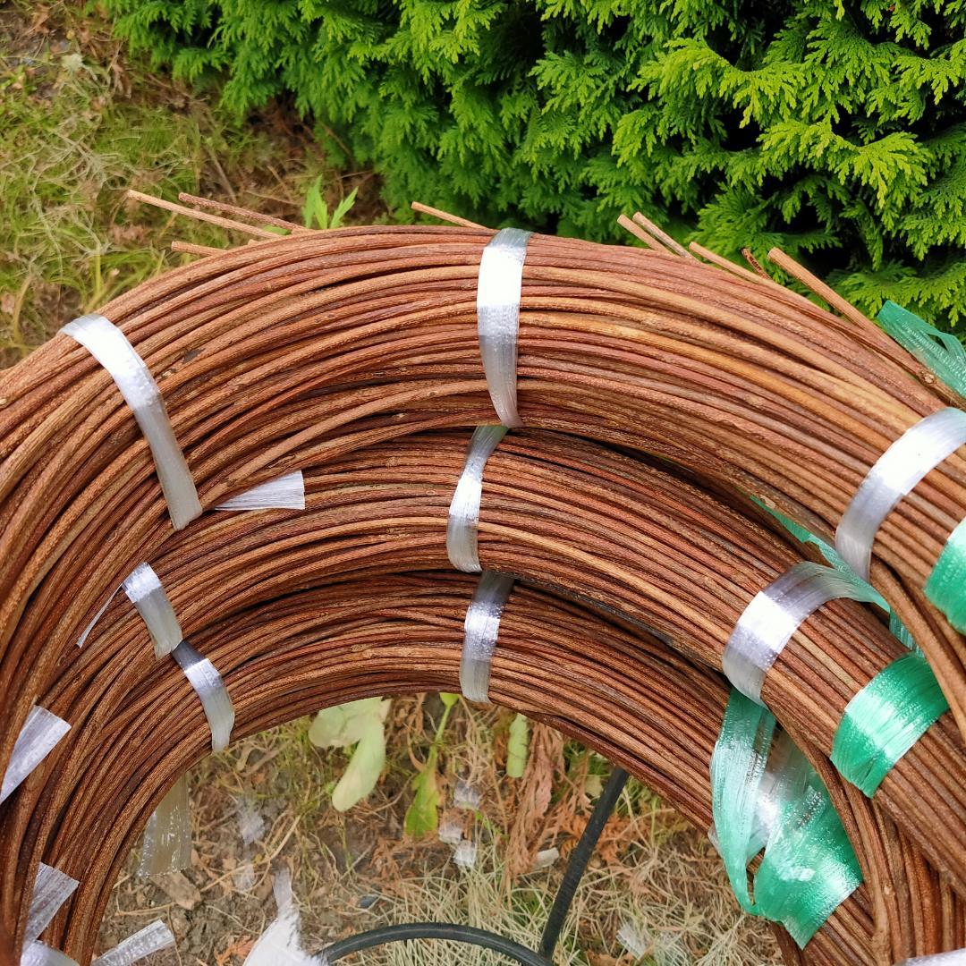 みっくん　青森県岩木山採取　あけび蔓　150cm～　3kg