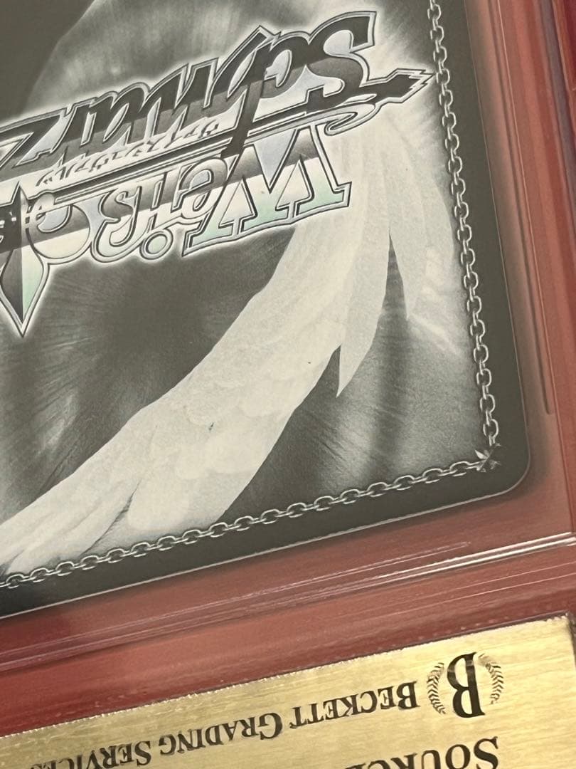 BGS10　いつもそばに　博衣こより ヴァイスシュバルツ