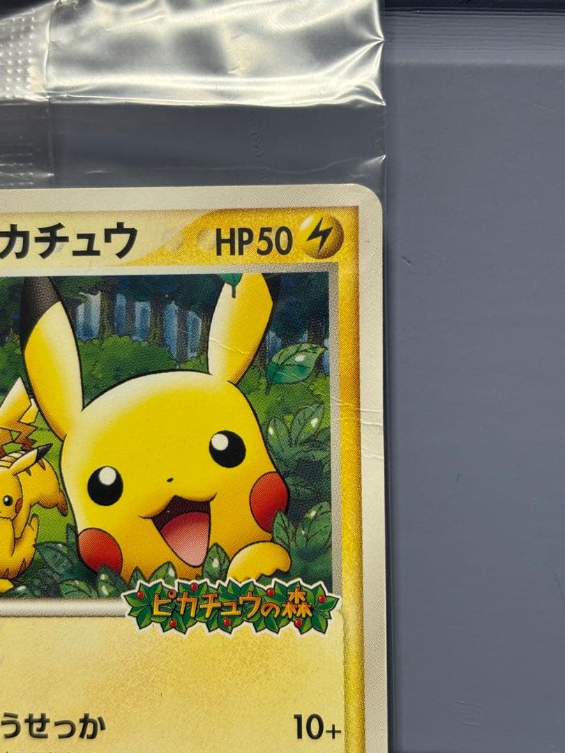 ポケパークのピカチュウ 未開封