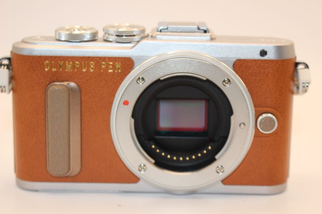 へるべると・ふぉん・かすぺん様　★ショット数918回★ オリンパス　E-PL8