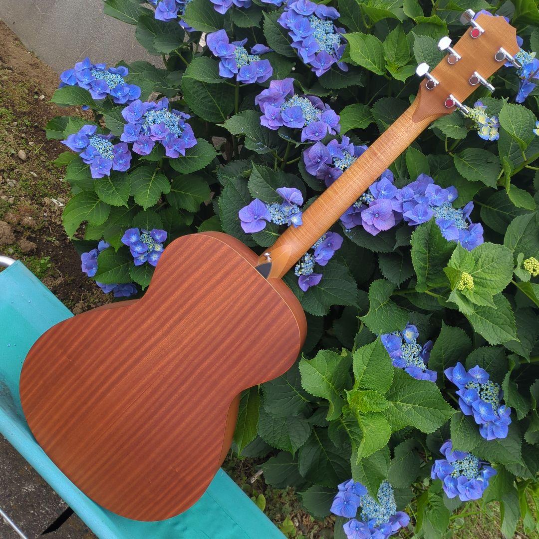 Taylor Academy 12e エレアコ中古