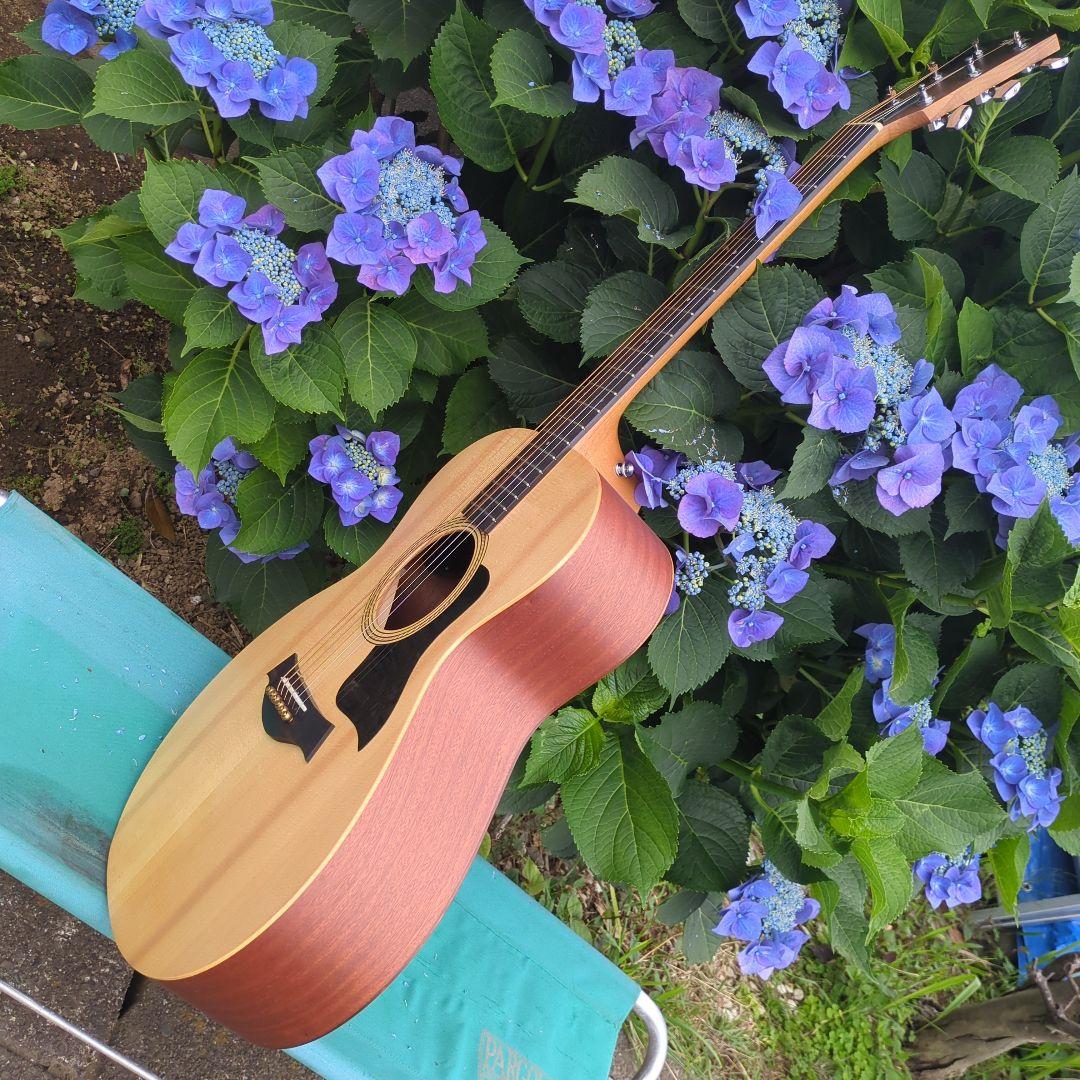 Taylor Academy 12e エレアコ中古