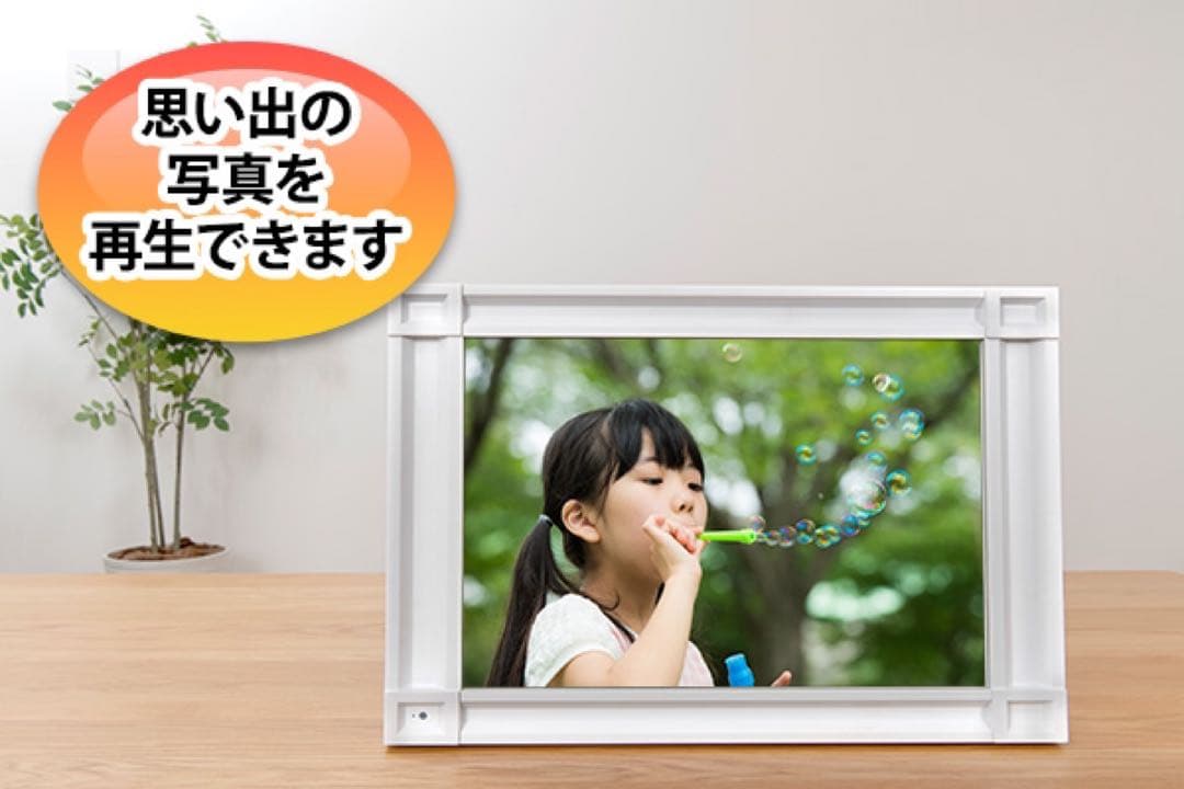 世界の絶景365 アメイジング・ウィンドウ　※箱無し