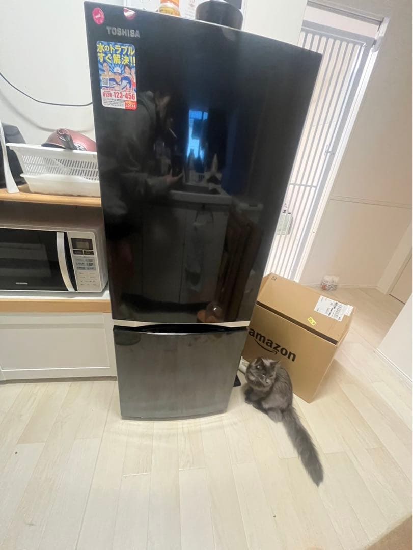 TOSHIBA冷蔵庫2019年製造地域限定配送料無料