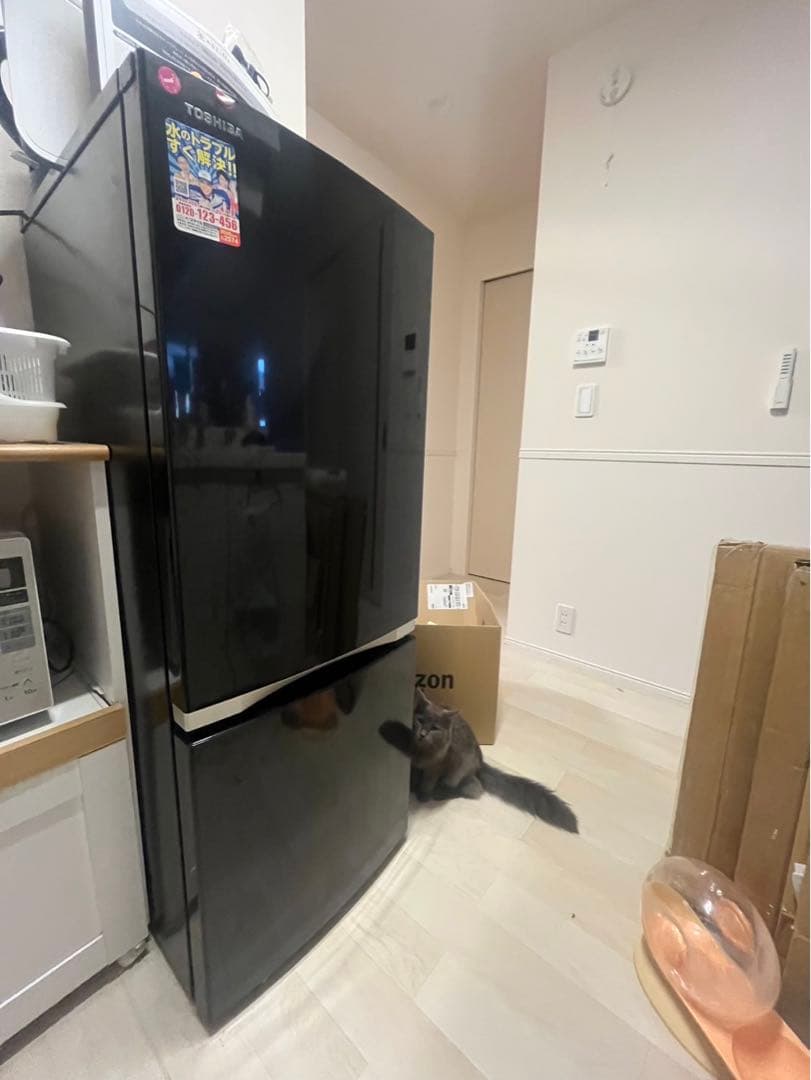 TOSHIBA冷蔵庫2019年製造地域限定配送料無料