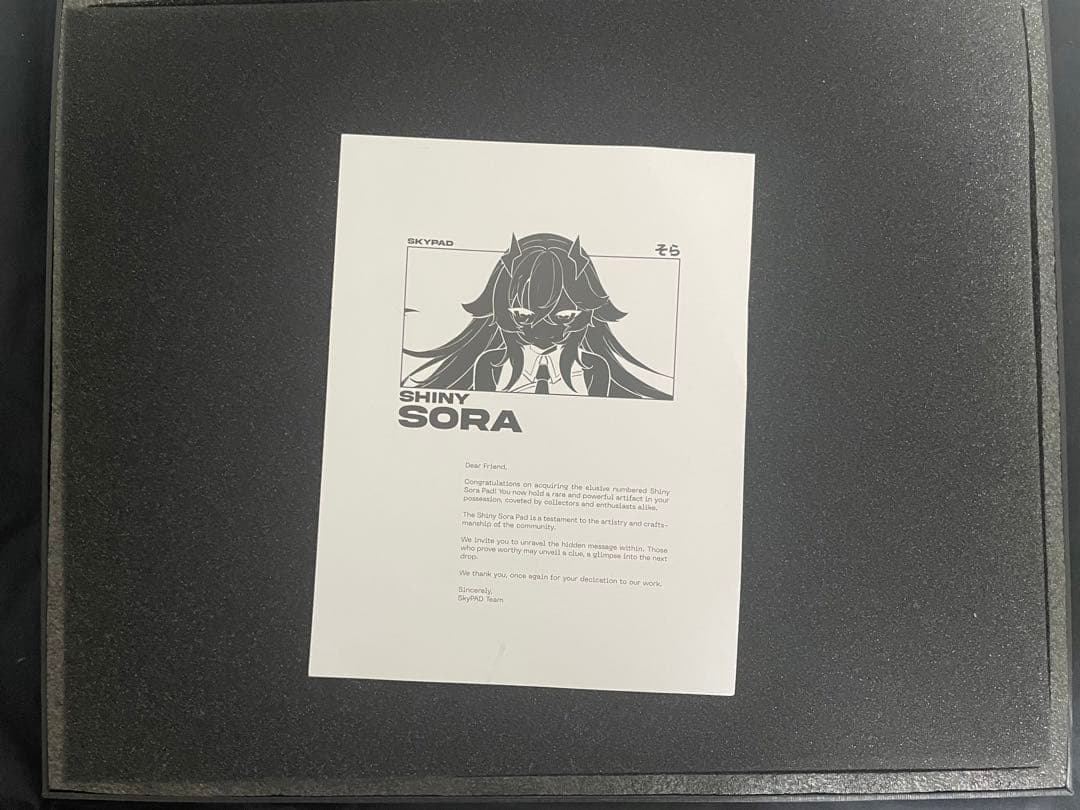 sky pad 3.0 限定デザイン