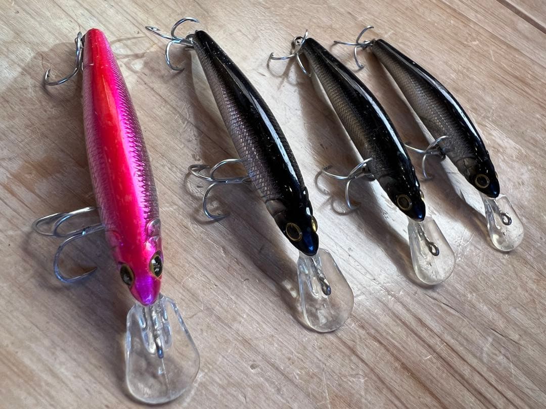 ザウルス　レックス70MD 10個セット