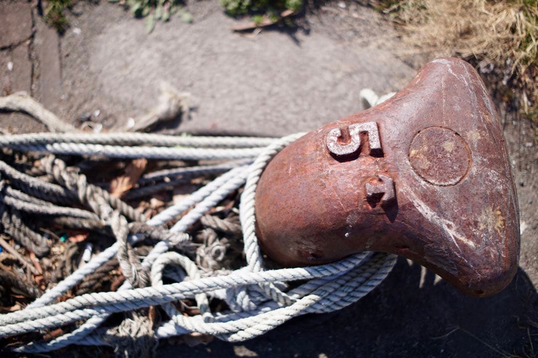 TTArtisan 35mm F1.4 APS-C Eマウント フードおまけ