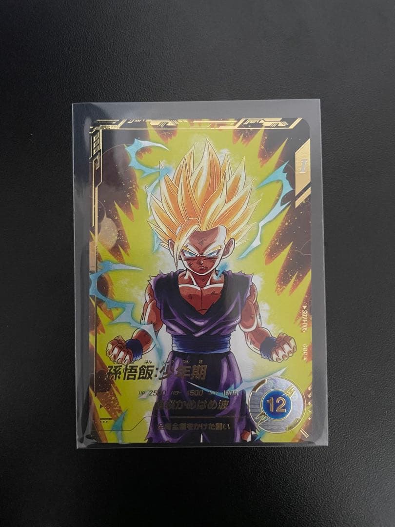 ドラゴンボールバイバース（SDV1）1弾悟飯・少年期 （GDR★/パラレル）5