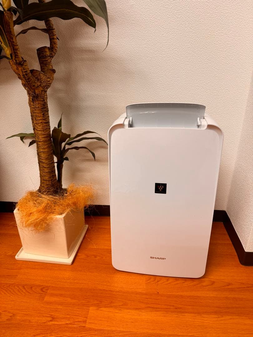 SHARP 除湿機 CV-R71-W 2024年製 清掃済 プラズマクラスター