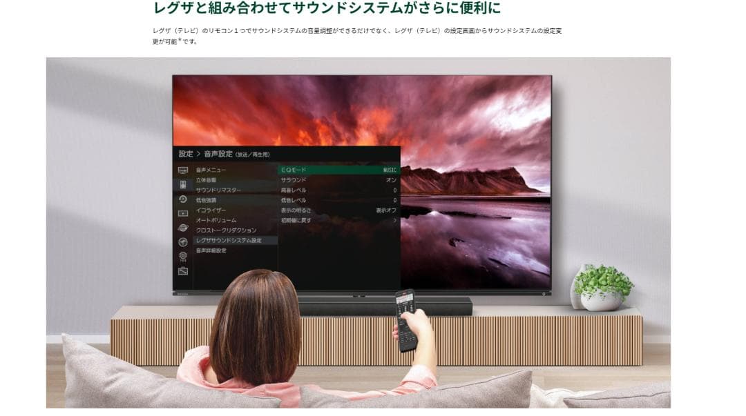 【新品・美品】東芝 REGZA TS3100Q サウンドバーセット