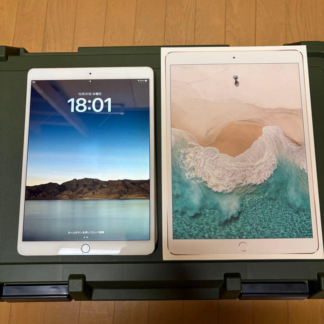 iPad Pro 10.5 インチ 256GB Wi-Fi+Cellular